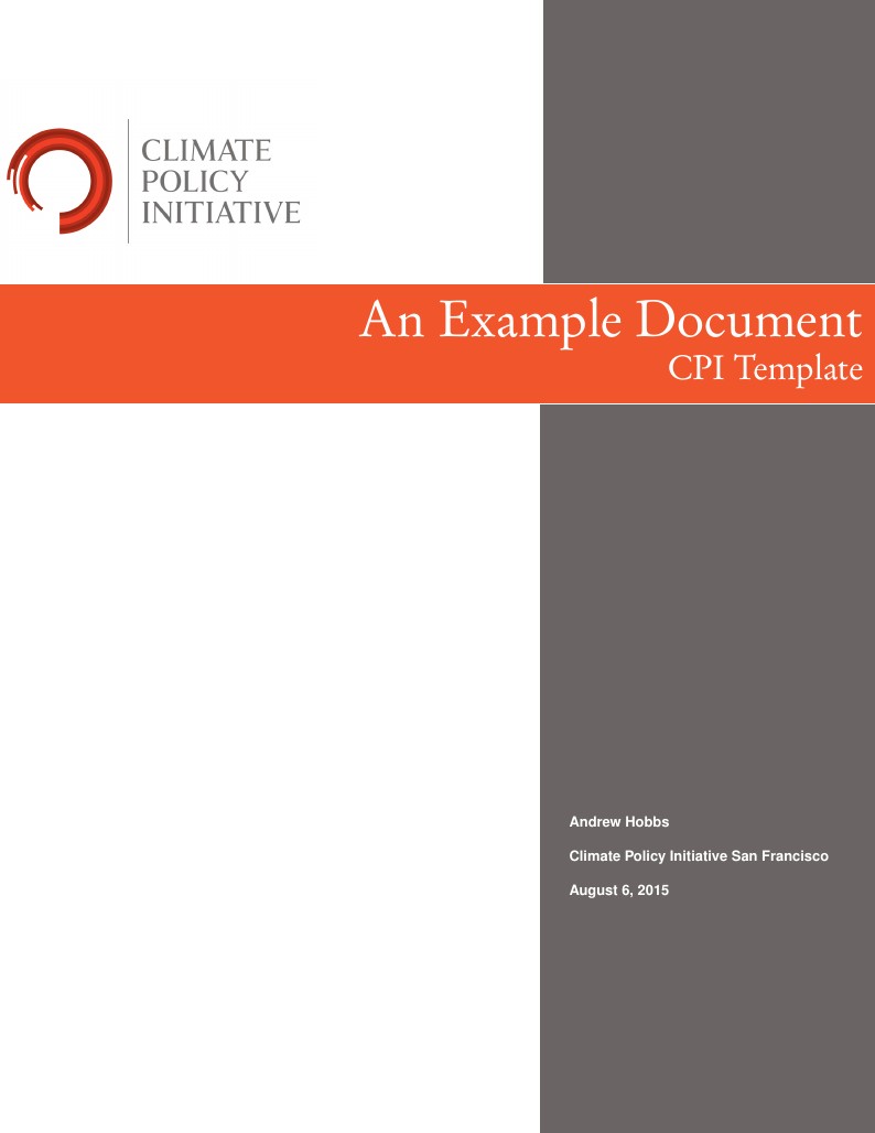Climate Policy Initiative Report Template
