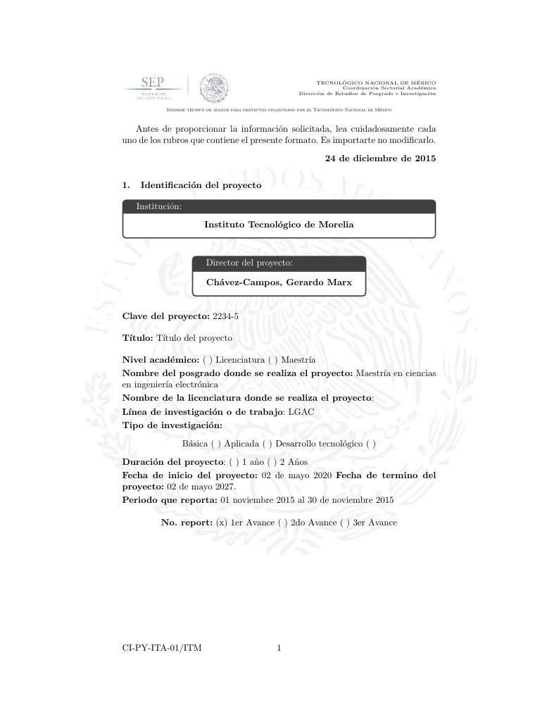 Formato de reporte proyectos de investigación TecNM