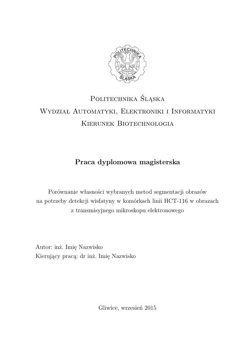 Praca dyplomowa Politechnika Śląska AEI szablon