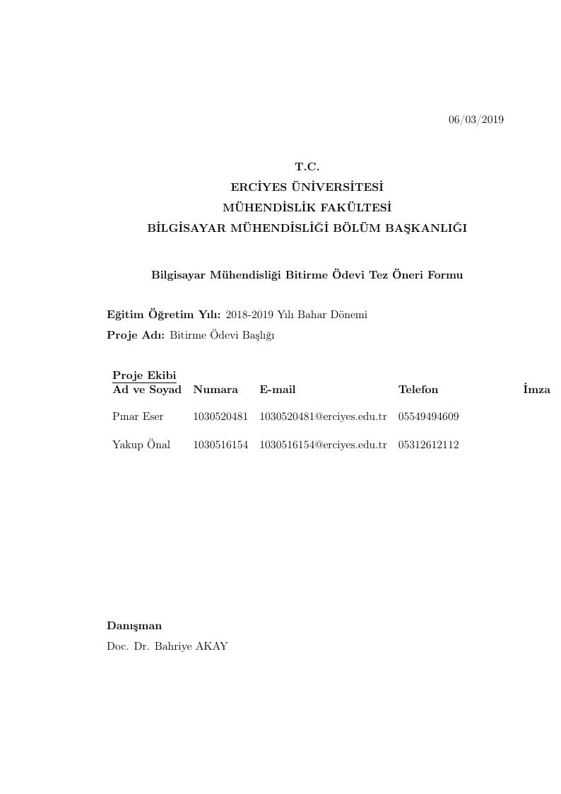 Project report template for Erciyes University 